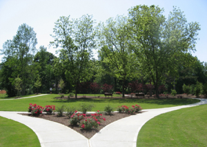 The home owner managed HOA