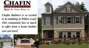 Willow-Leaf-Blog-9.6