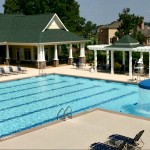 Traditions26-450x300